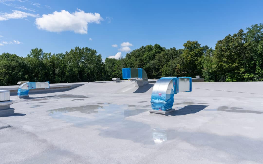 Ponding Water on Your Flat Roof: Causes and Solutions