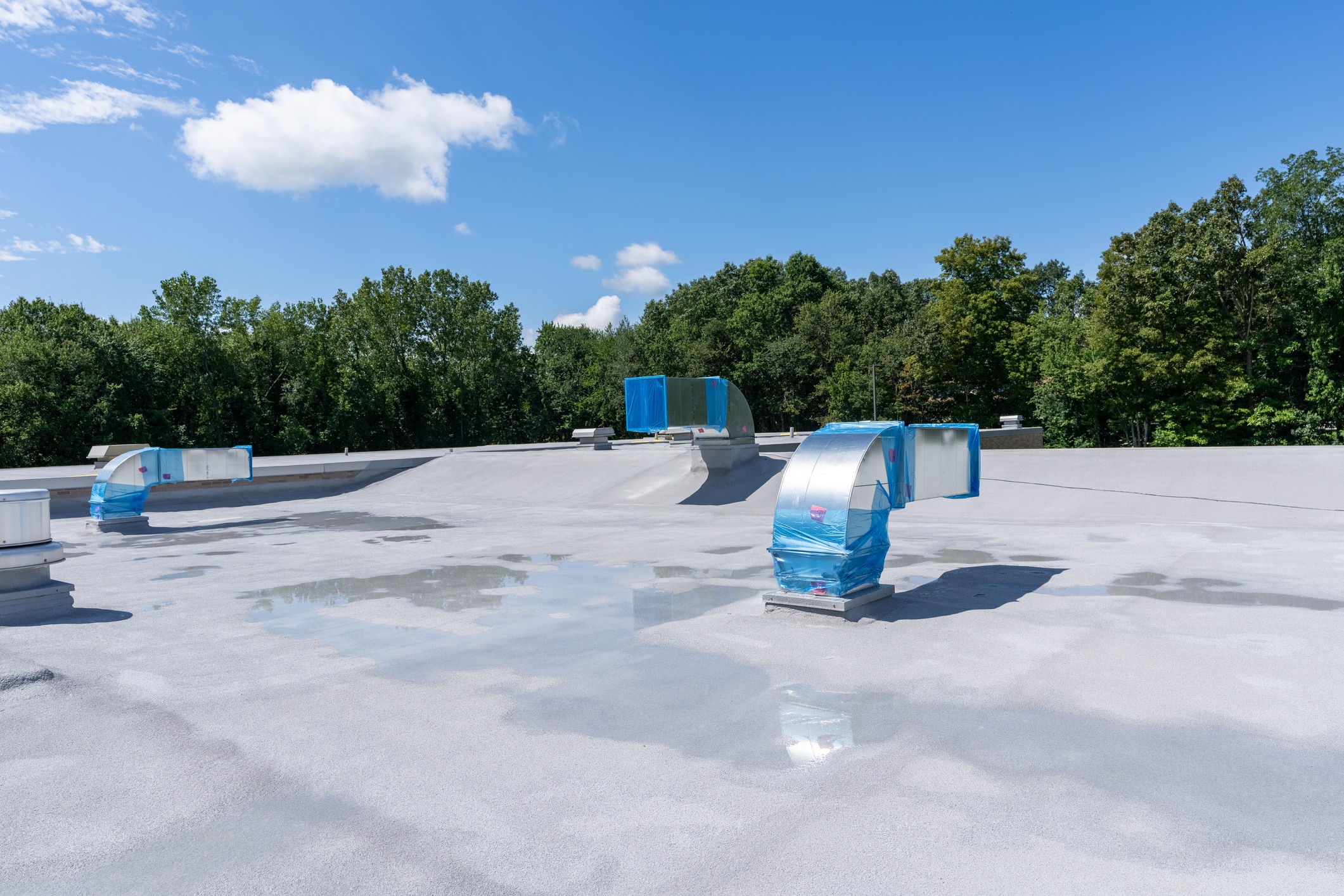 TPO roof with water puddles